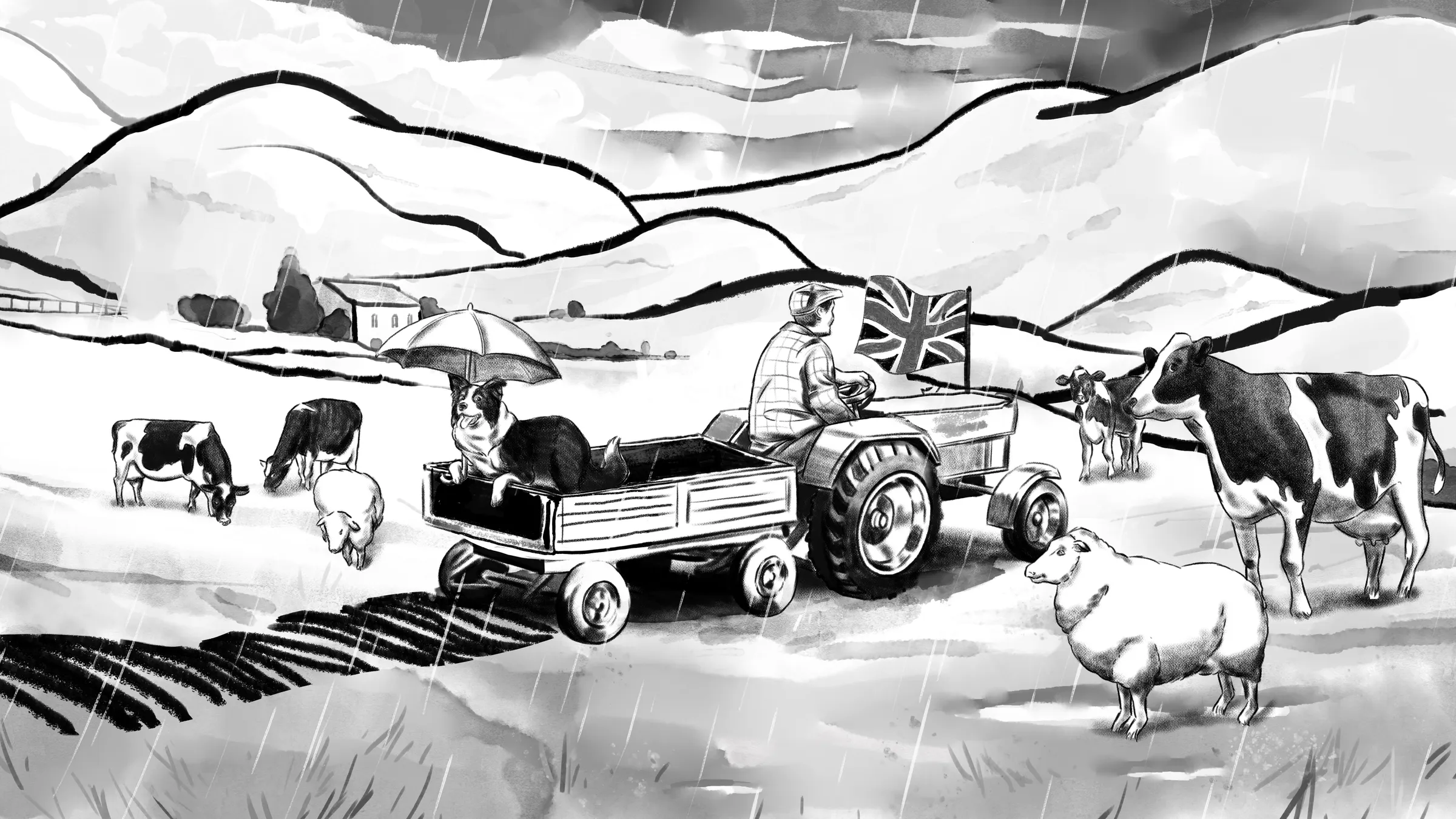 Coop Character Designs Animal Tractor Wide